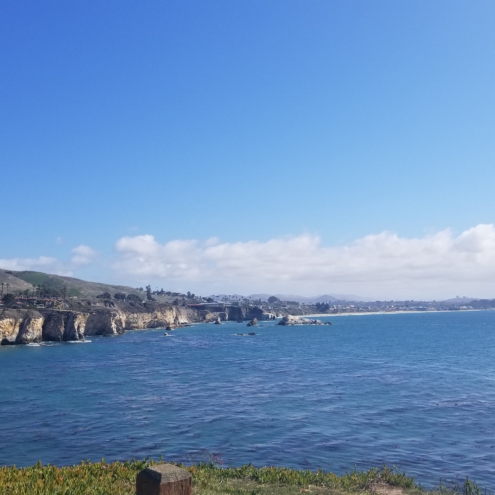 Meet your Posher, Karlina